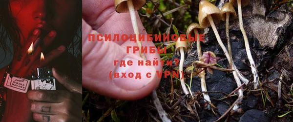 прущая мука Козельск