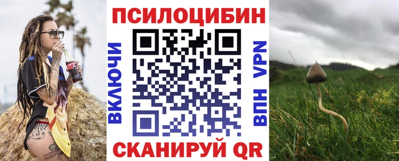 shop наркотические препараты  mega зеркало  Нахабино  Галлюциногенные грибы Cubensis 